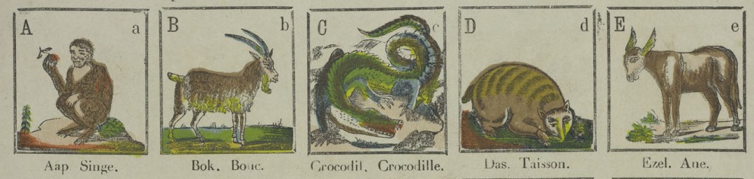 Call for Papers congress